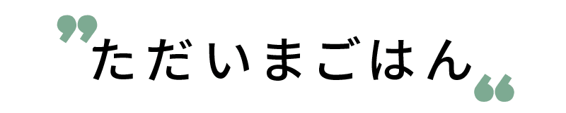 ただいまごはん